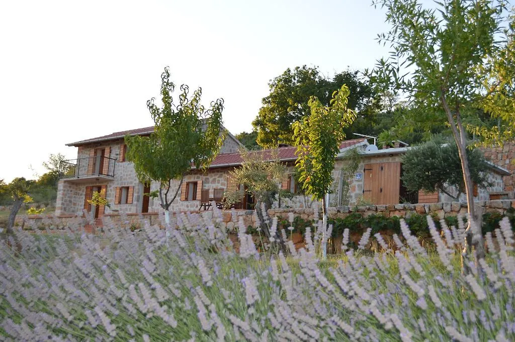 Villa Mara - Secluded House With Breathtaking View- Seline, Starigrad Paklenica 0*, Seline Croatia